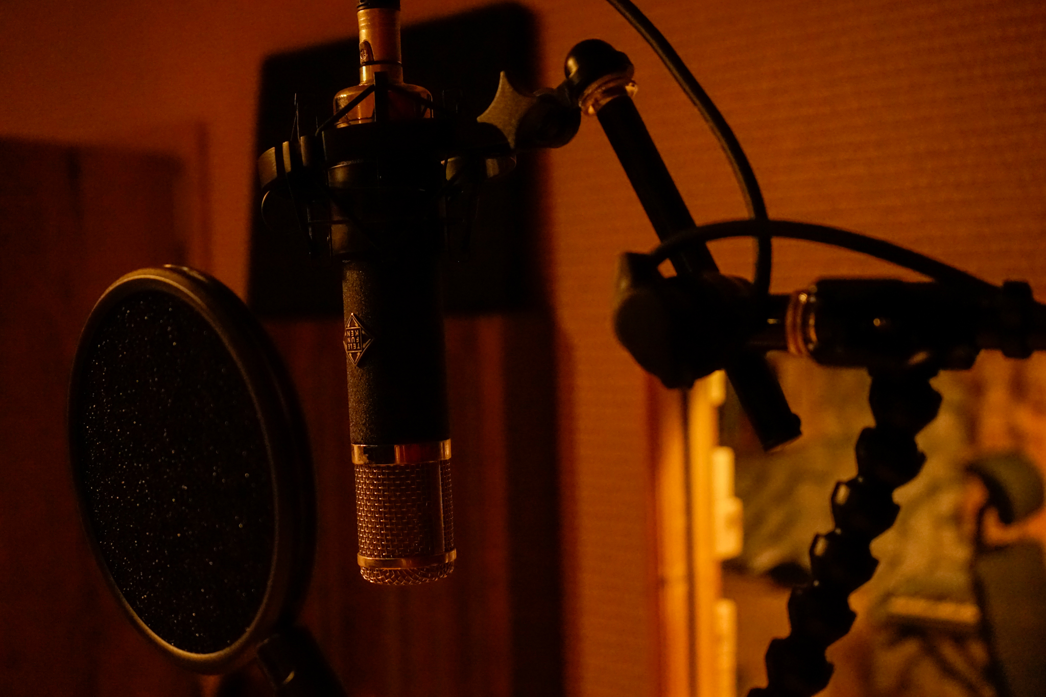 Telefunken-Mikrofon im Aufnahmeraum des Mooseic Studios